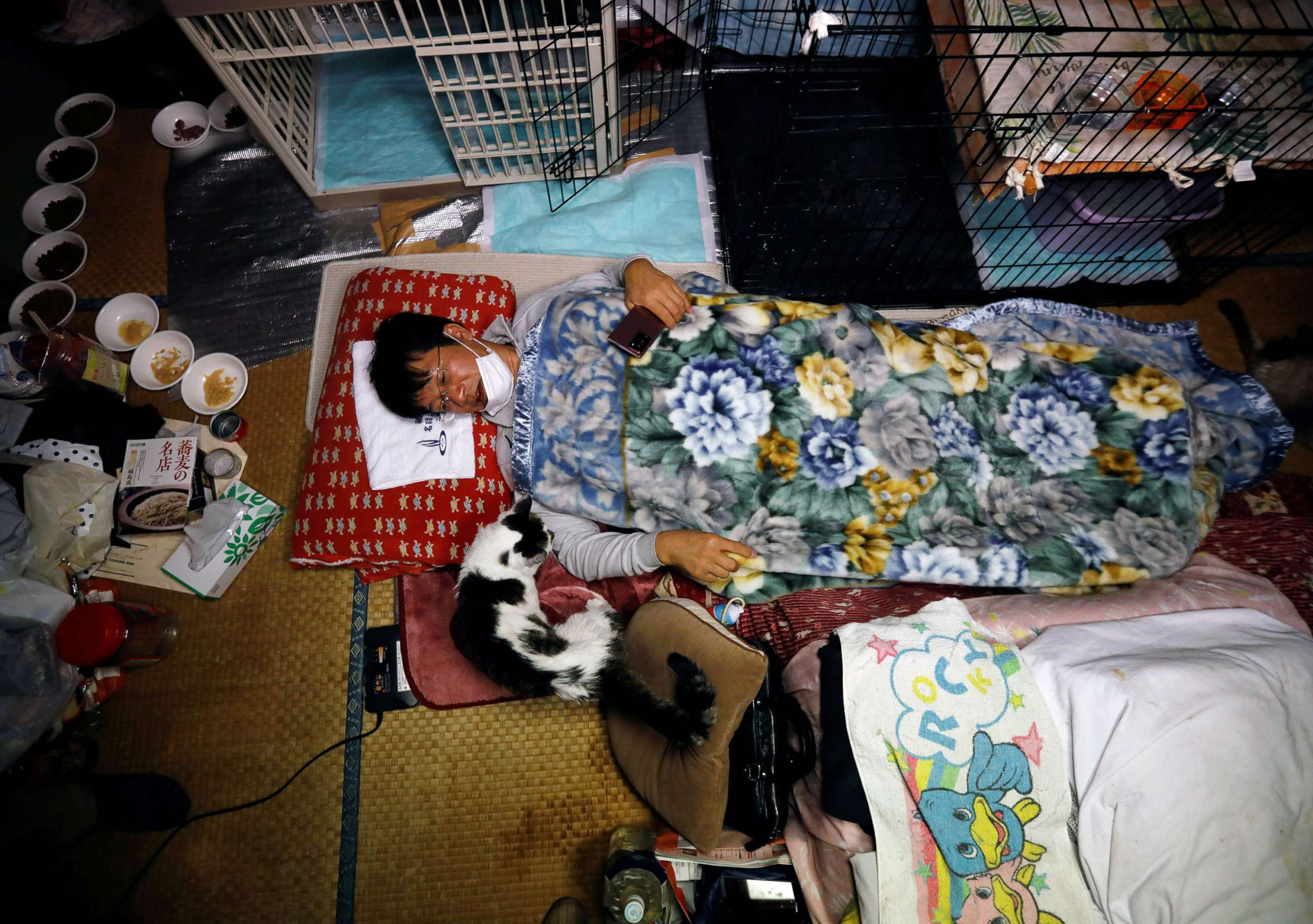 The Hero of Fukushima: A Man's Mission to Rescue Forgotten Cats