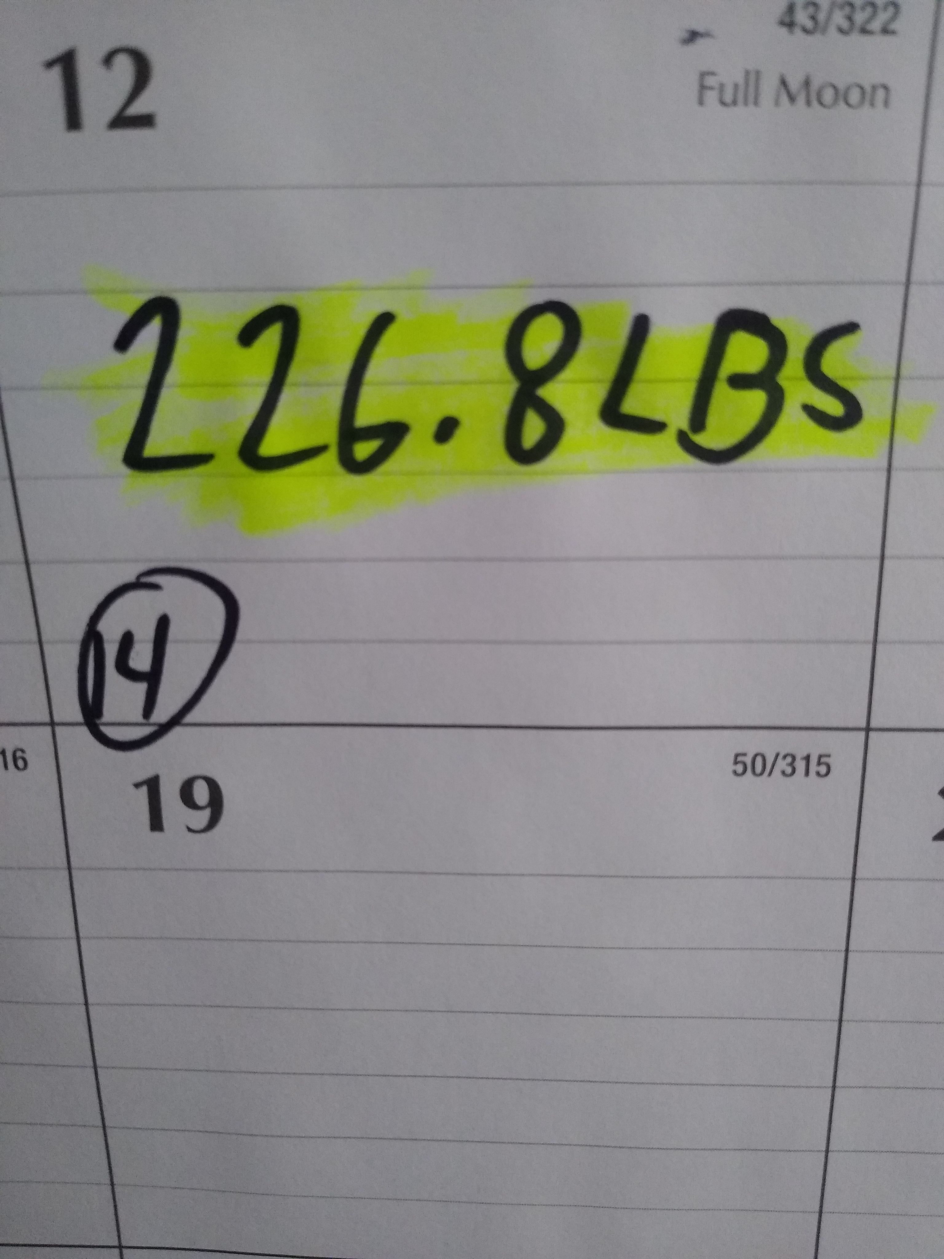 Day 14 of My Daily Weigh-In and Calorie Tracking Journey