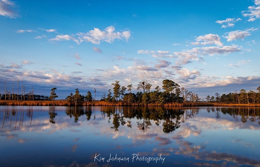Deep Thoughts: Reflections on Life