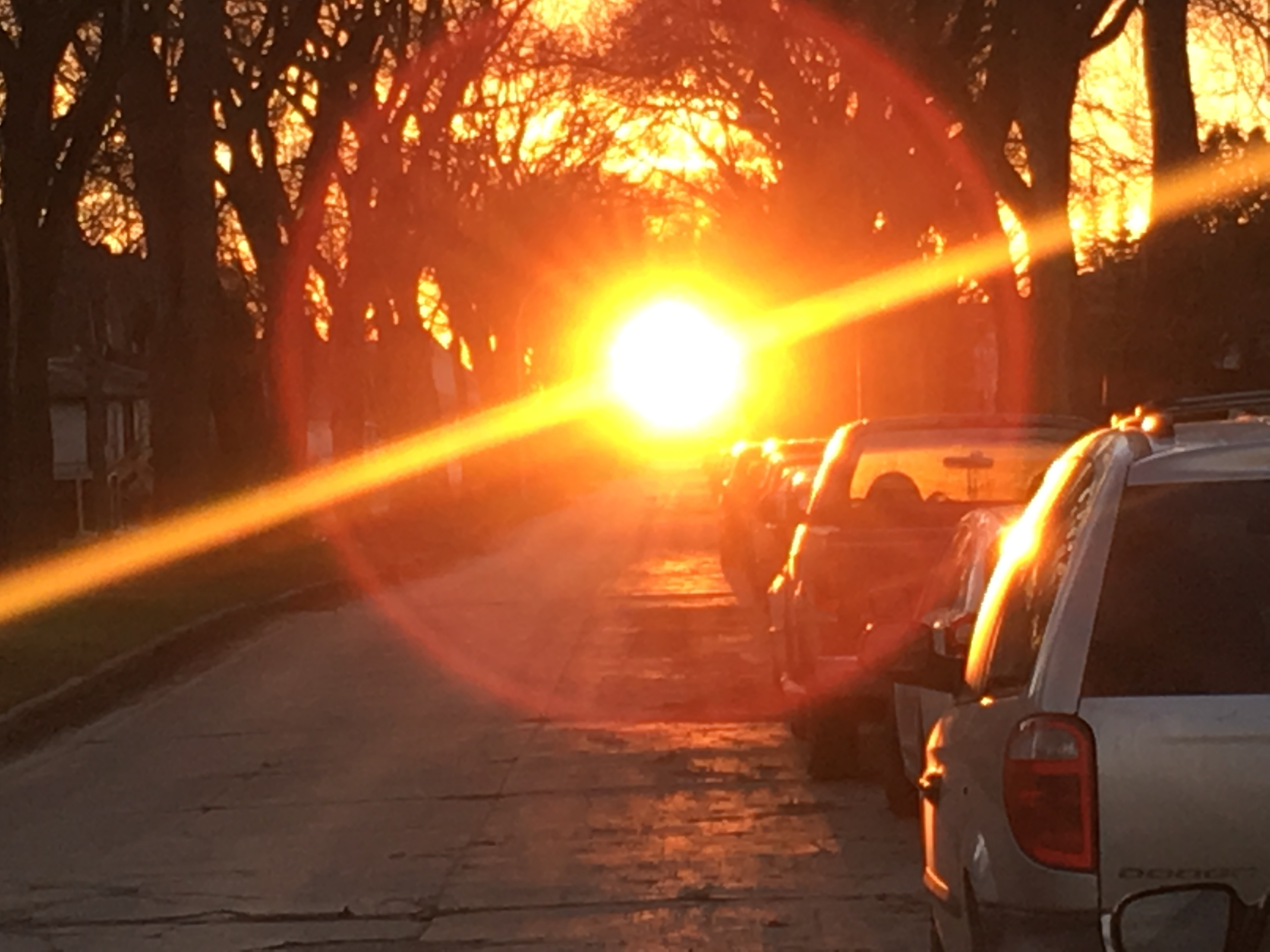 Chasing the Sunset: A Beautiful End to the Day