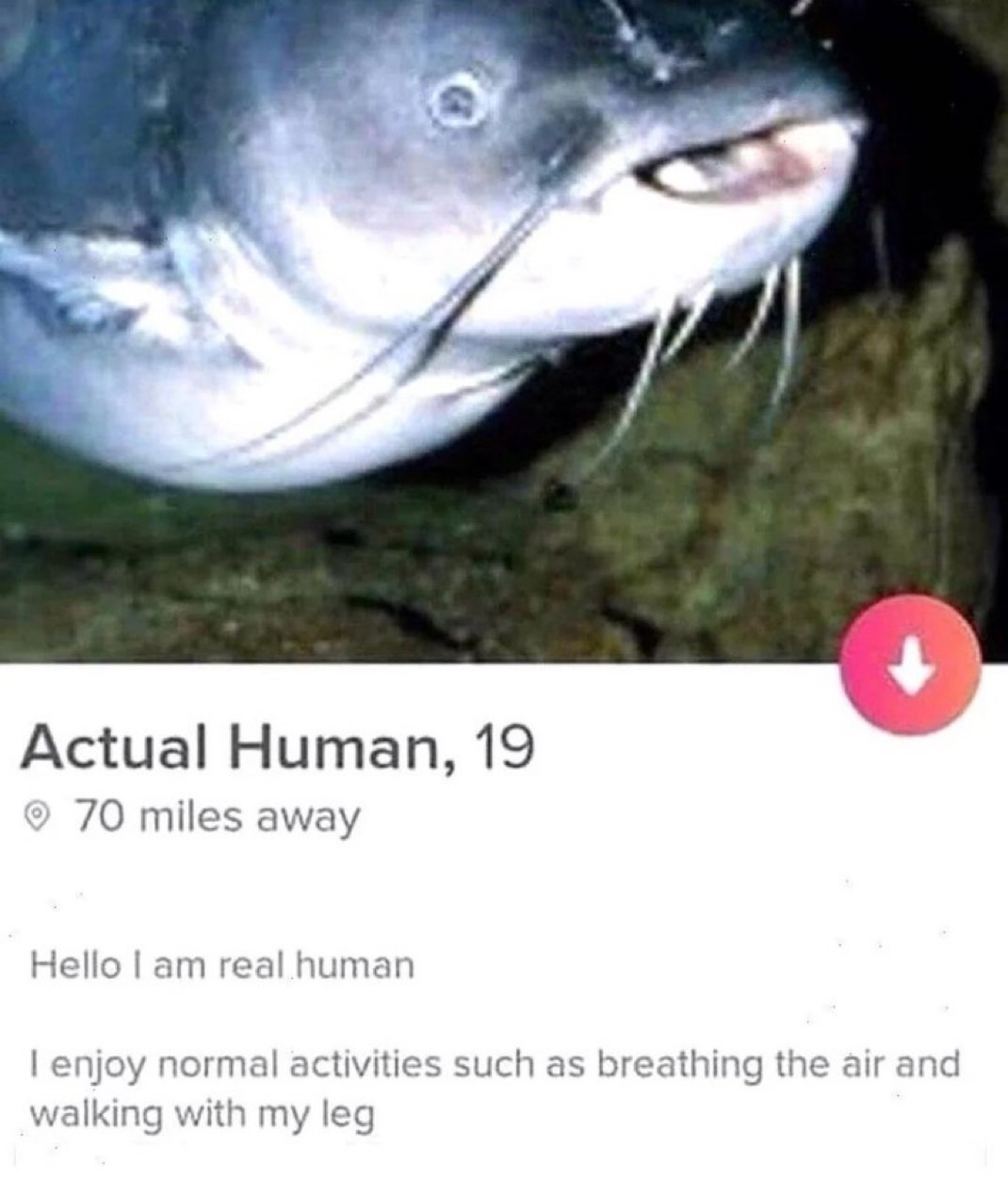 Just Your Average Human Being
