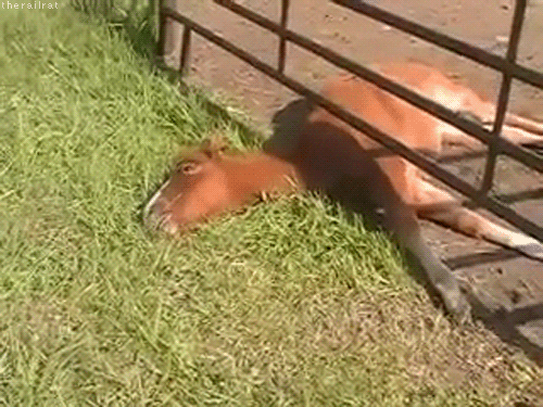 Me later today after surviving on just 4 hours of sleep