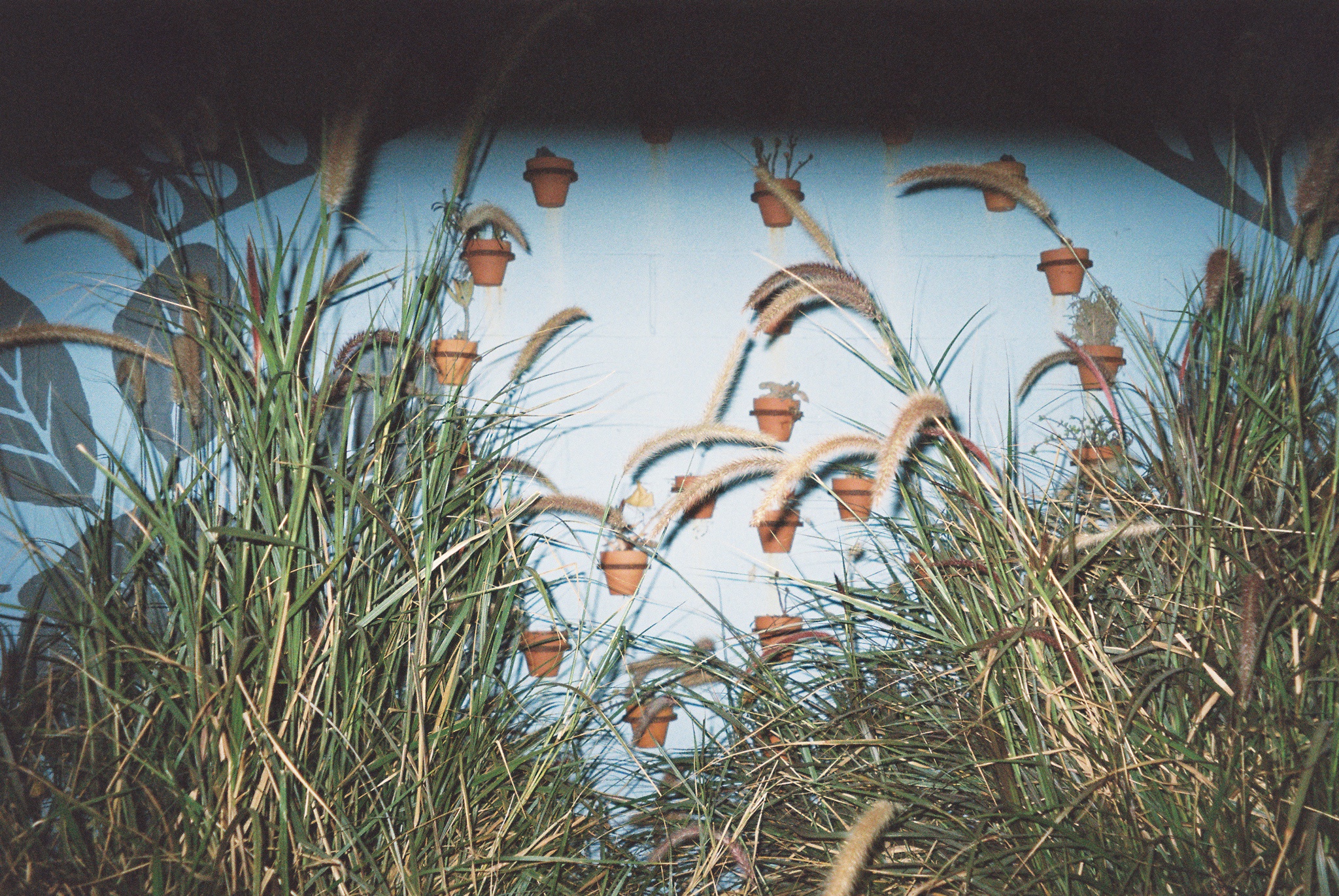 A Glimpse of 35mm Film: Costa Mesa, CA, 2024