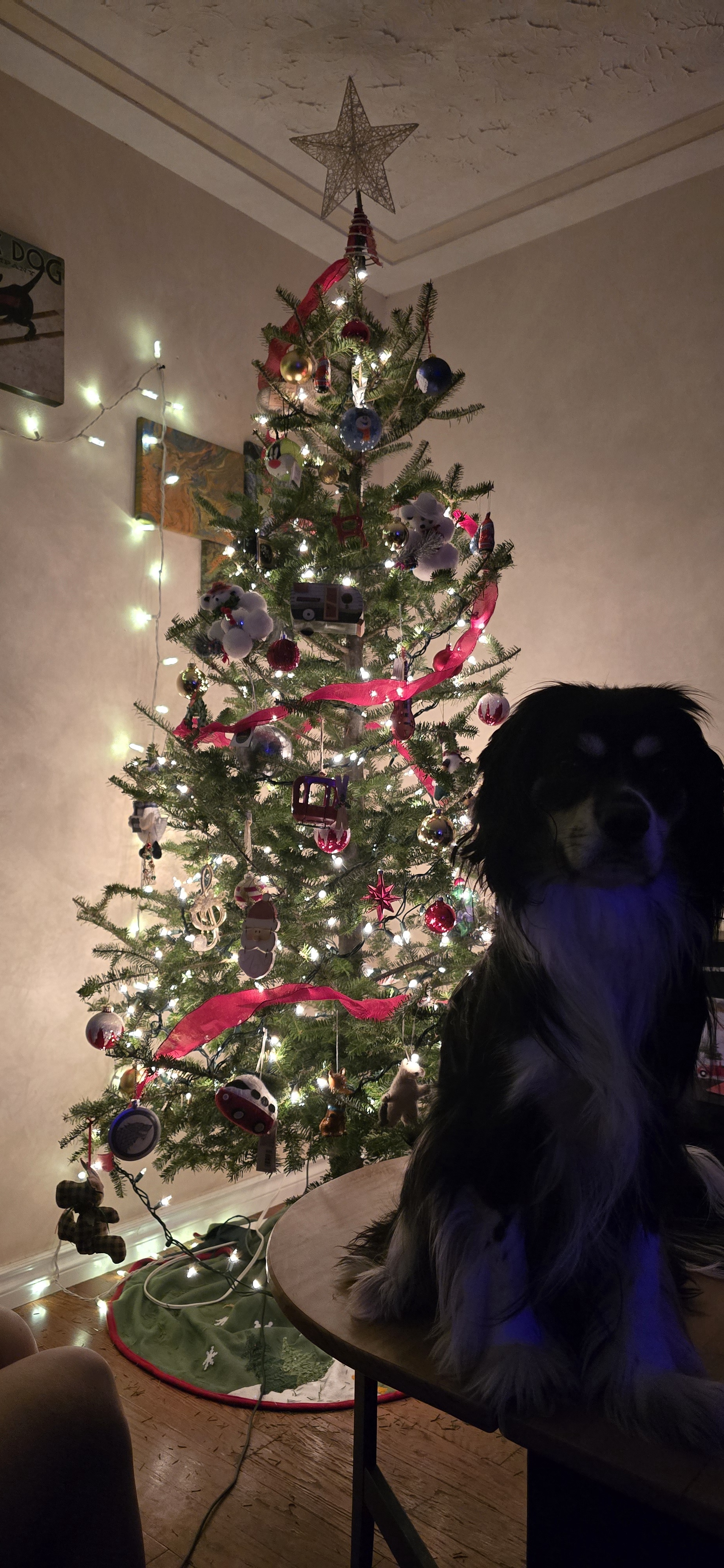 Murray Crimmas, Fellow Imgurians!