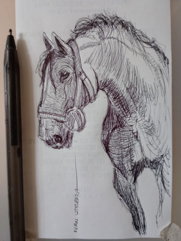 The Majestic Horse in All Its Glory