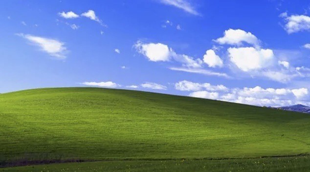 Your Next Favorite Wallpaper Awaits