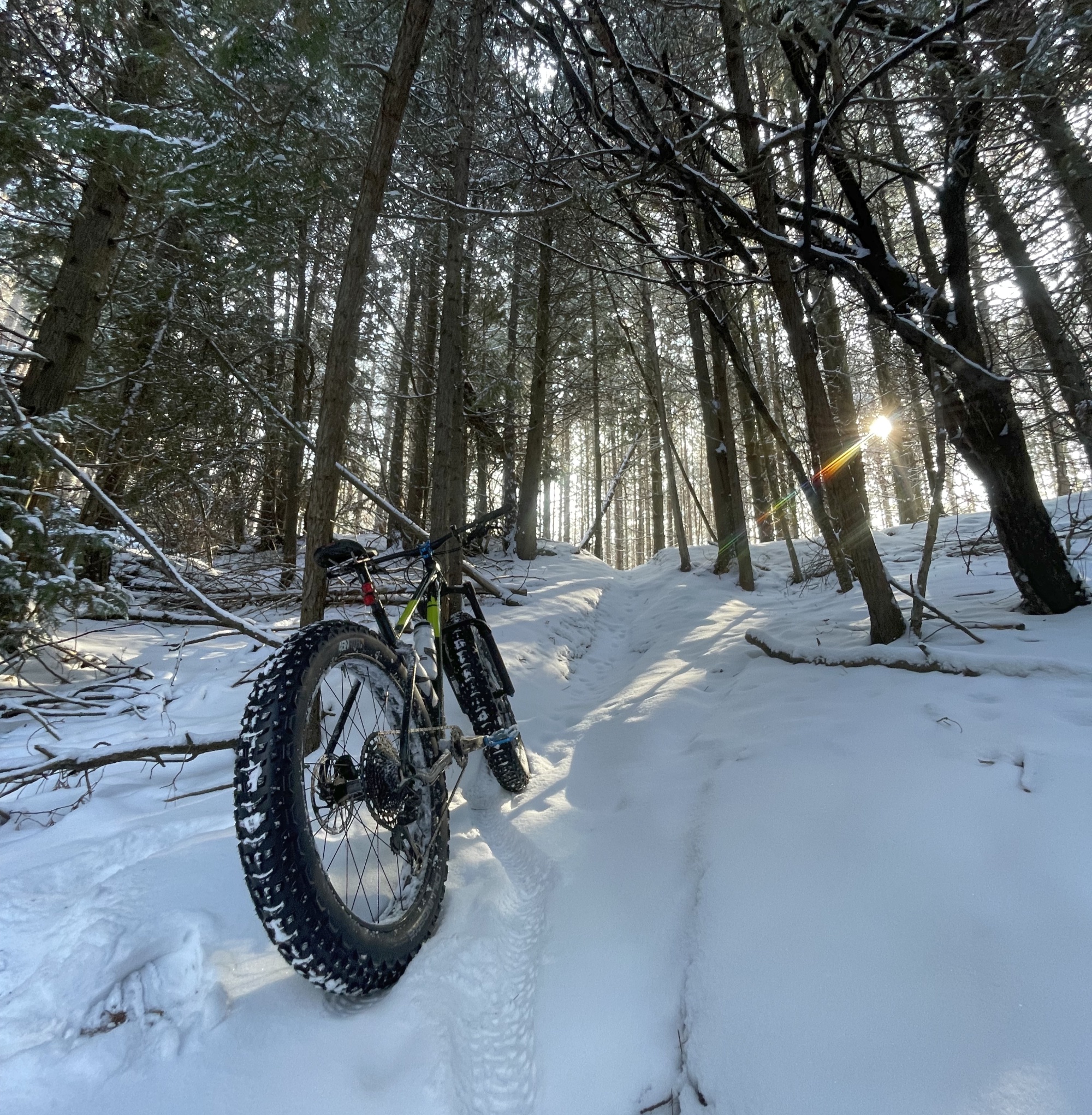 Conquering Trails on a Fatbike