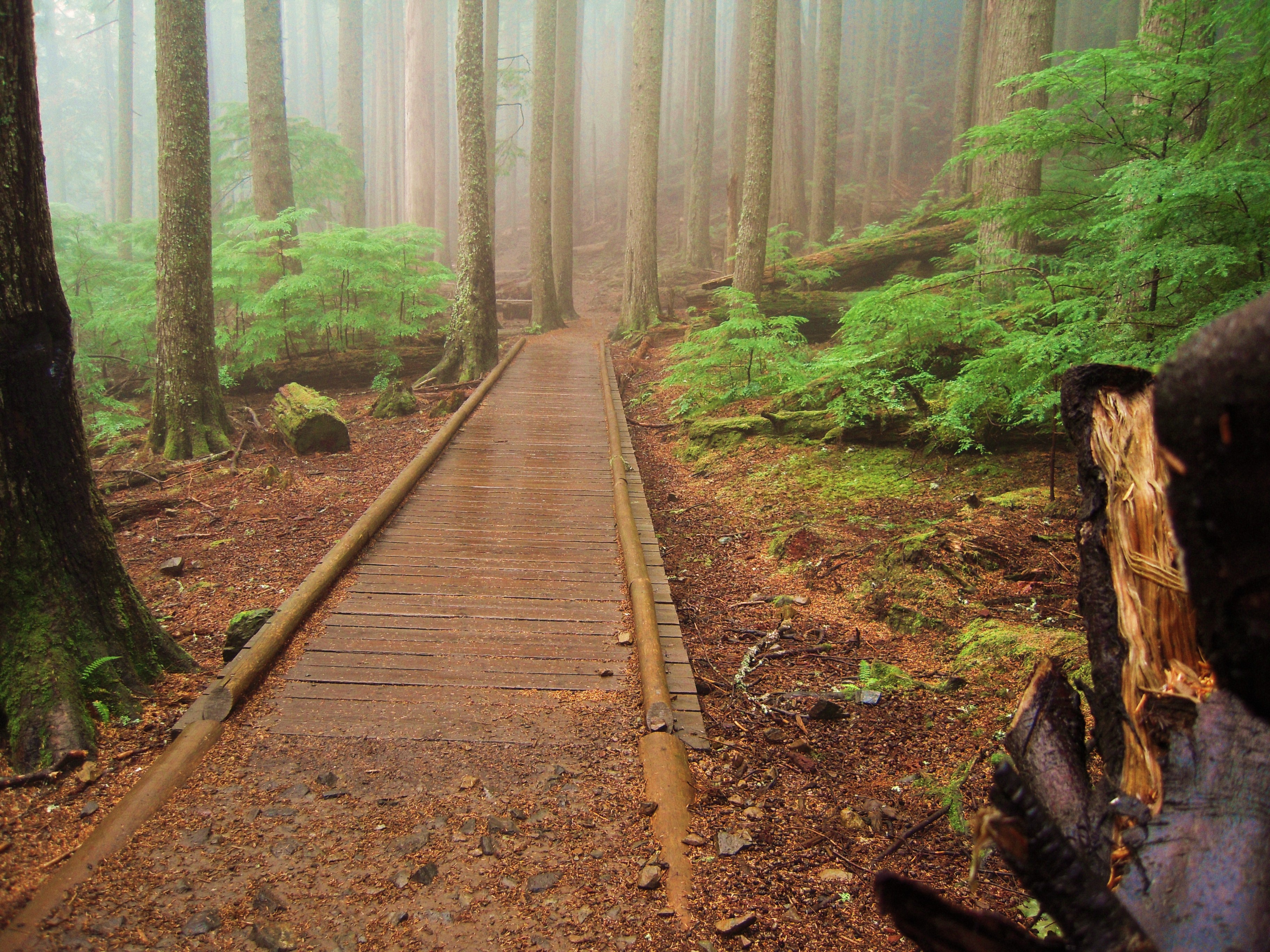 Breathtaking Views: Exploring Mount Si Near Seattle, Washington