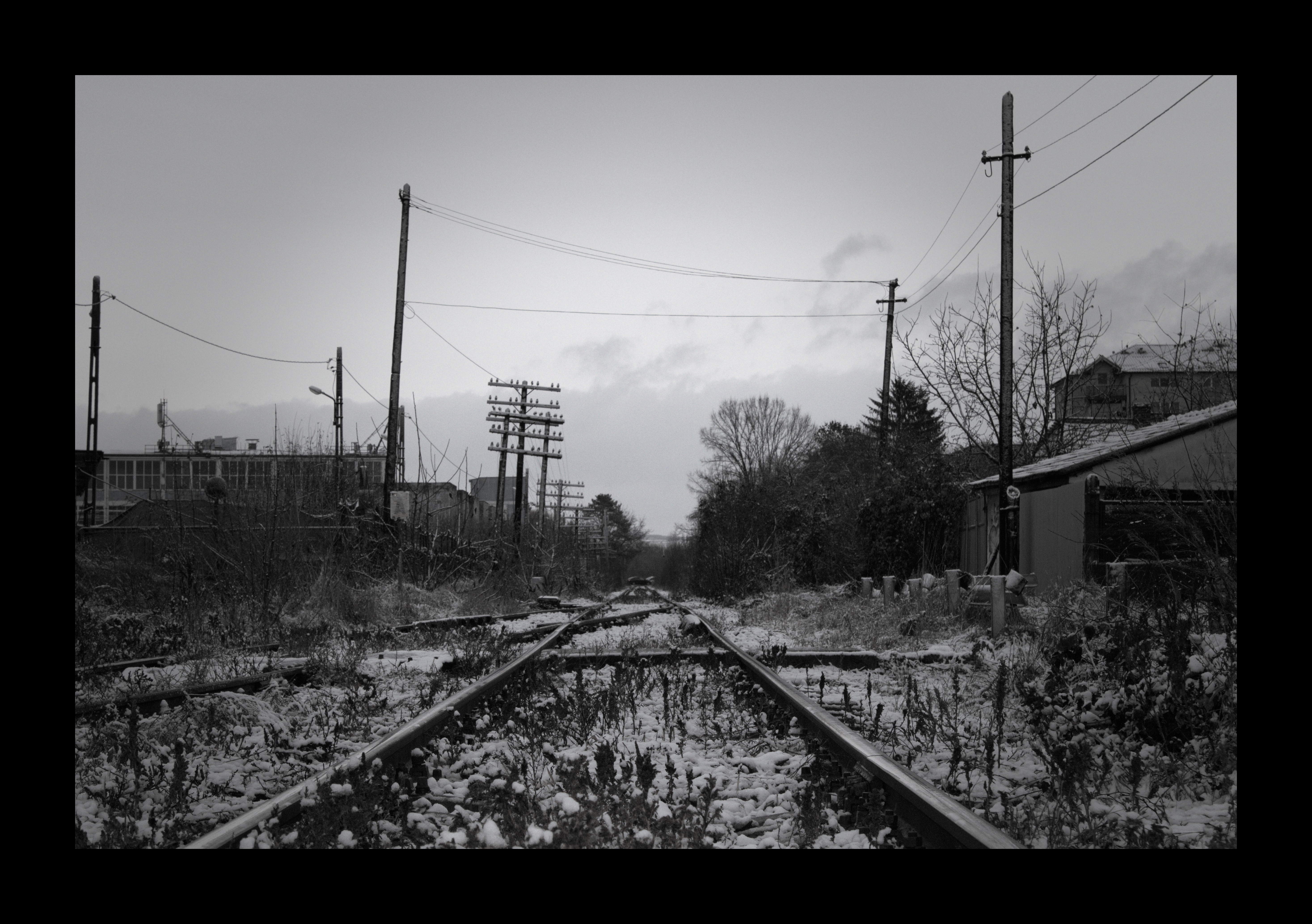 Rediscovering Hidden Melodies of Winter