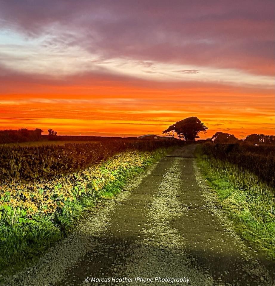 Chasing the Perfect Sunset
