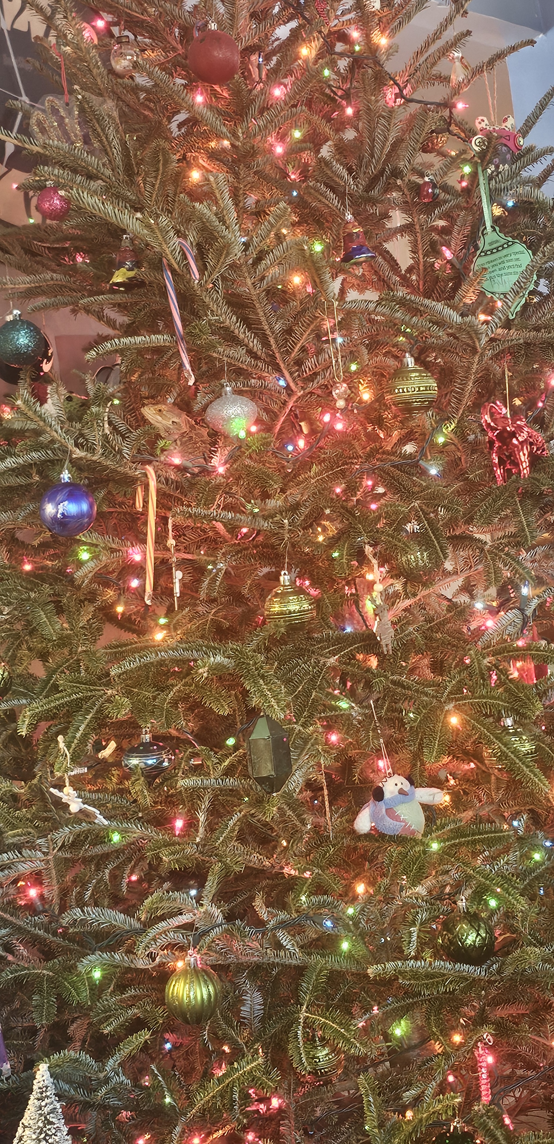 I Spy: A Fun Game of Observation Awaits!