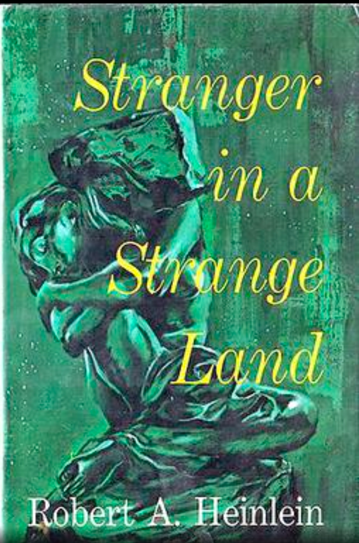 A Stranger's Journey in an Unfamiliar Land