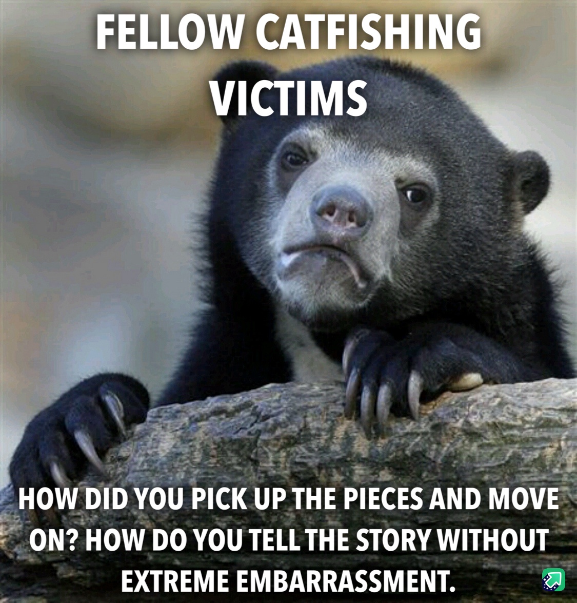 Catfish victims, can you lend a hand to a fellow bro?