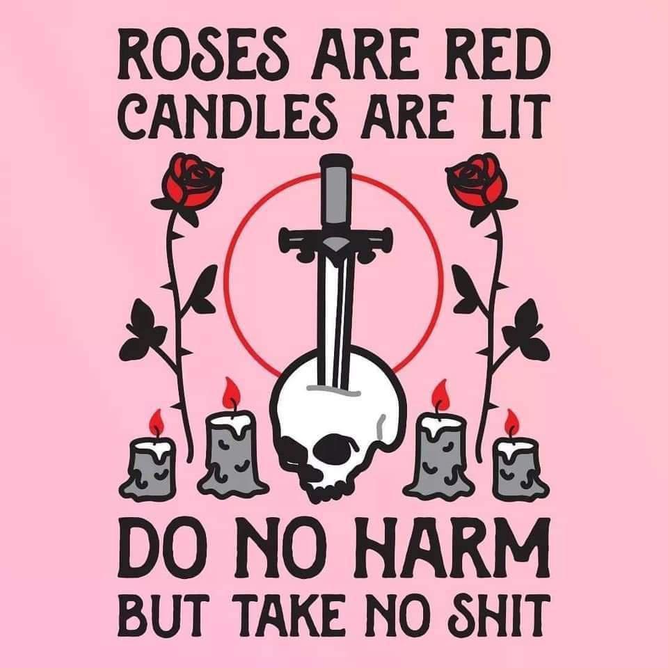Celebrating My Cake Day with Favorite T-Shirt Designs