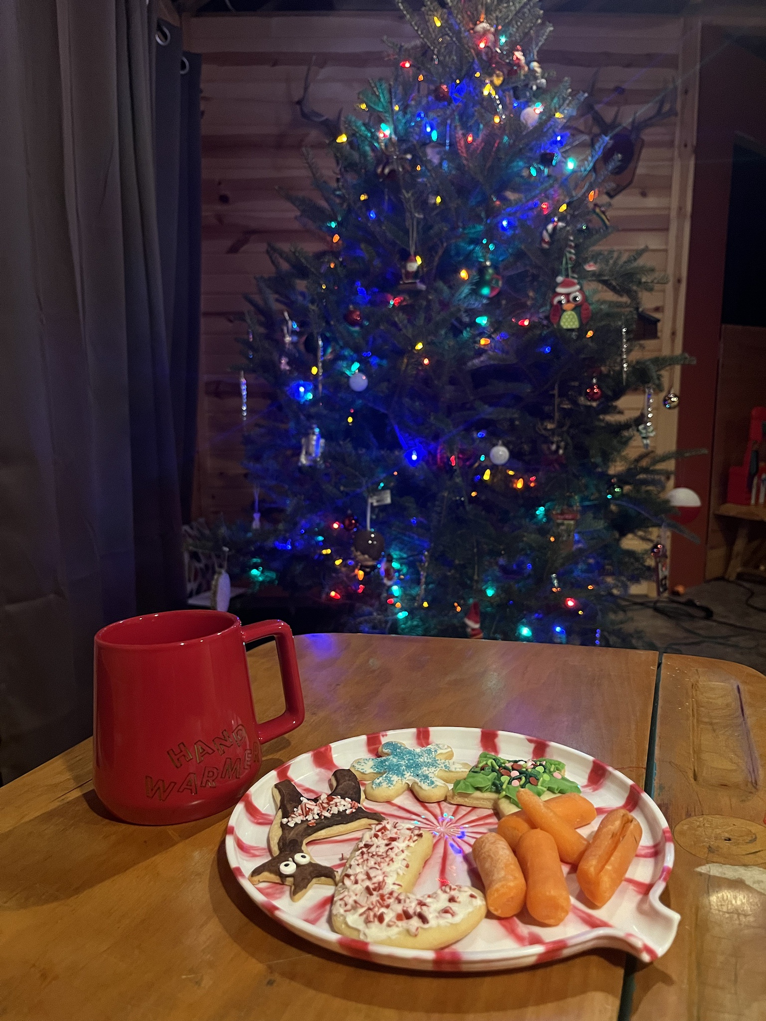 Wishing a Merry Christmas to Everyone Out There!