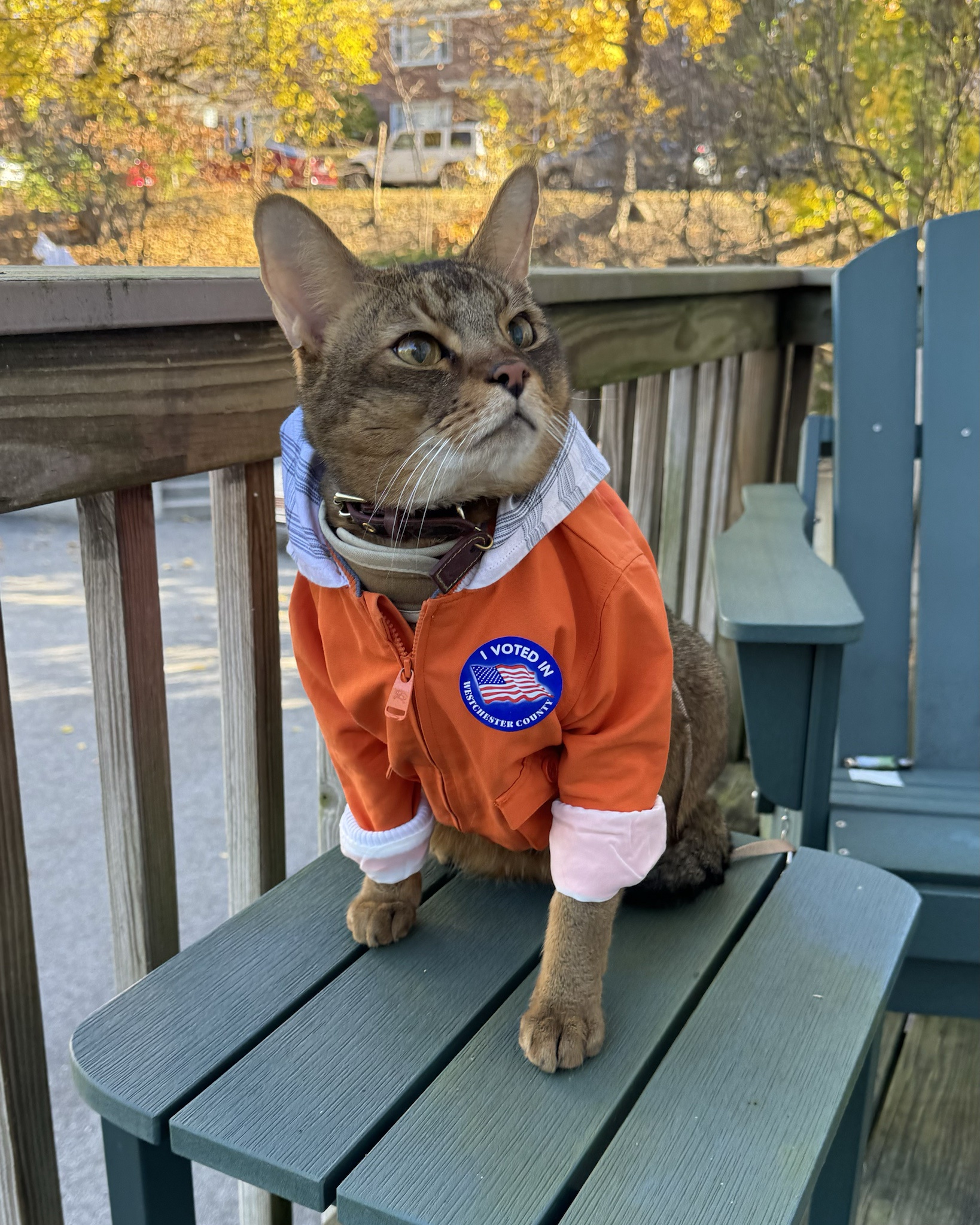 I Made My Voice Count: I Voted!