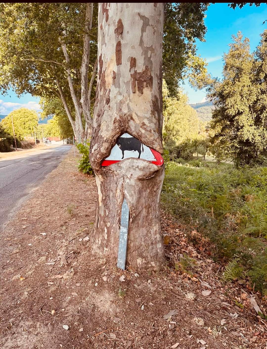 A Unique Traffic Sign from the Charming Town of Loivos, Portugal