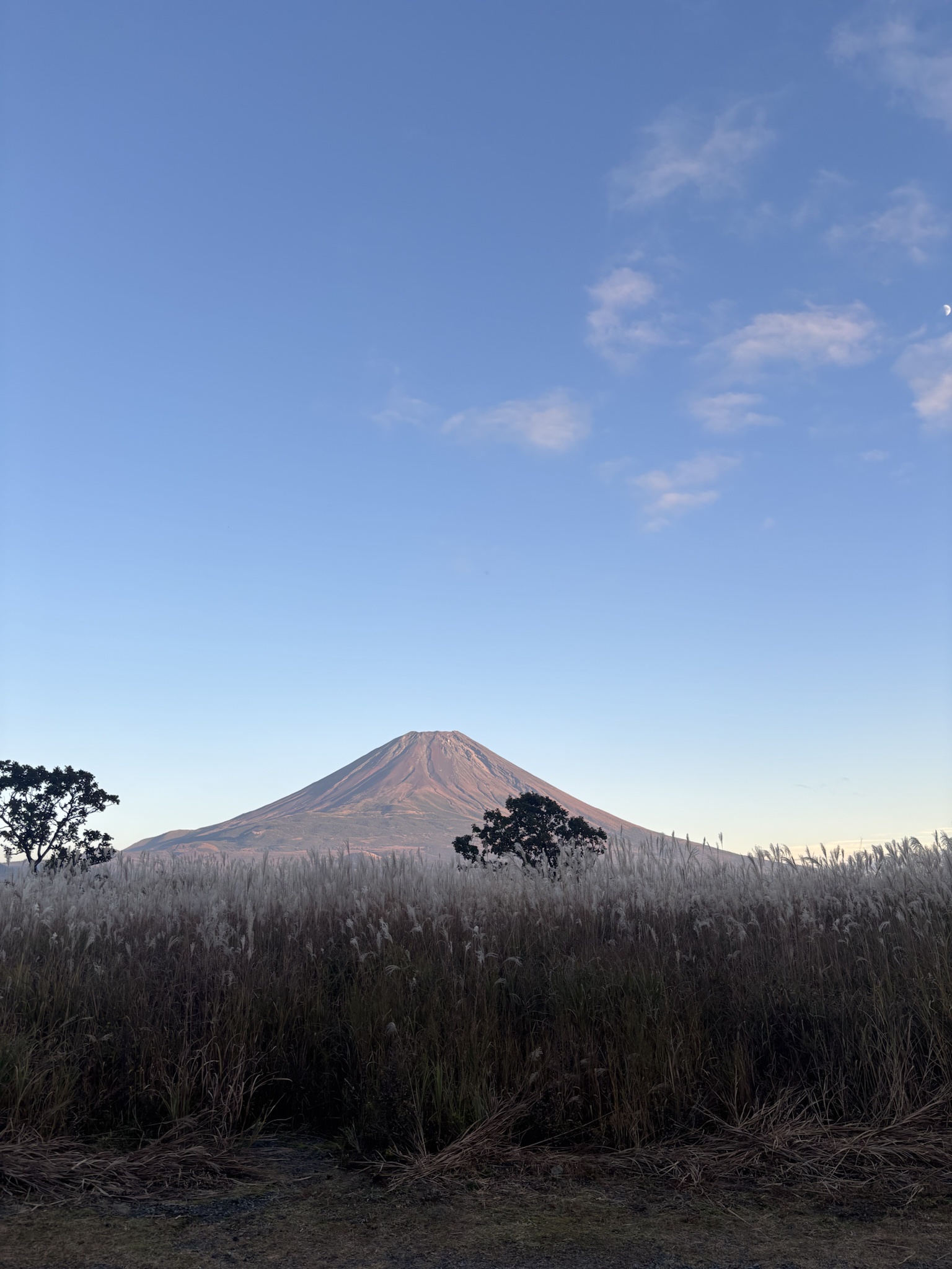 Majestic Fuji San: A Mountain of Beauty