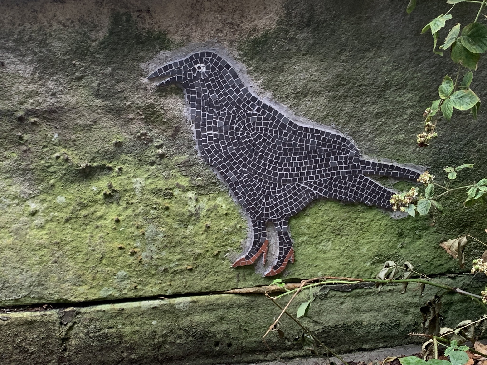 Absolutely captivated by this stunning bird!