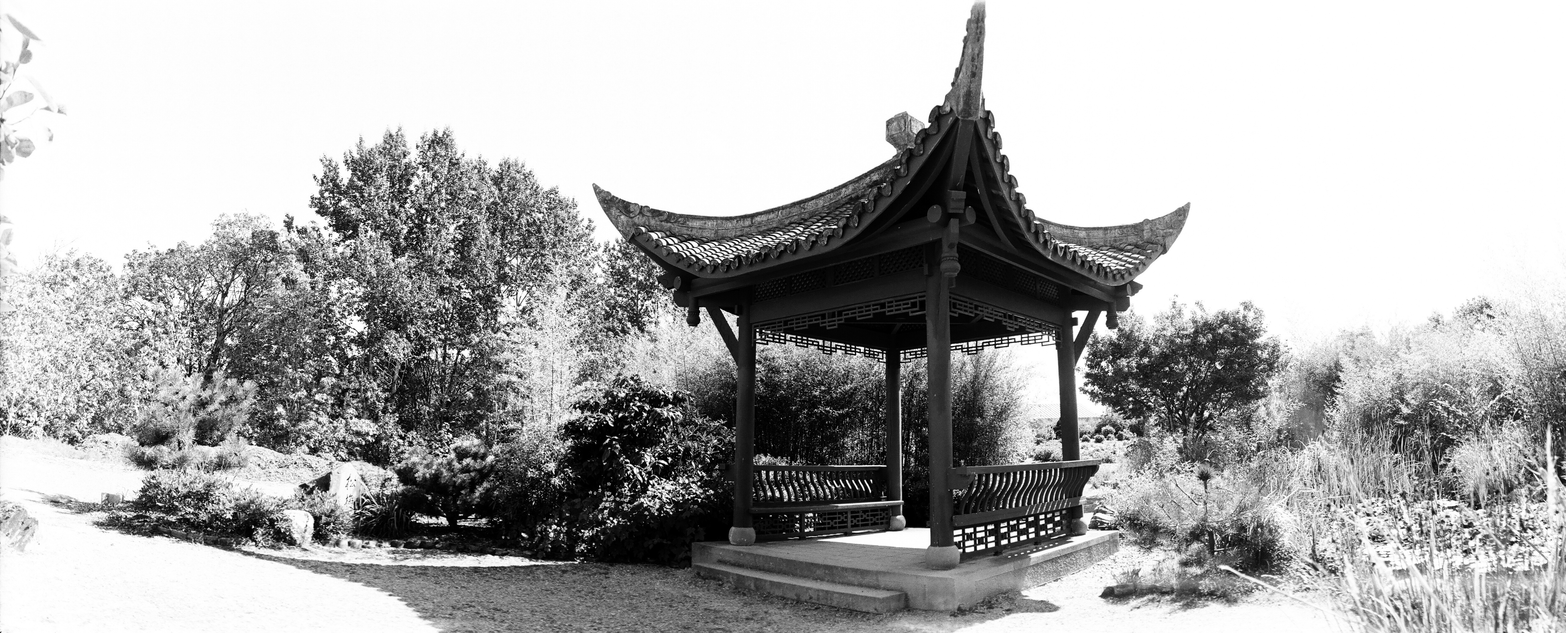Exploring the Serenity of Seattle's Chinese Garden