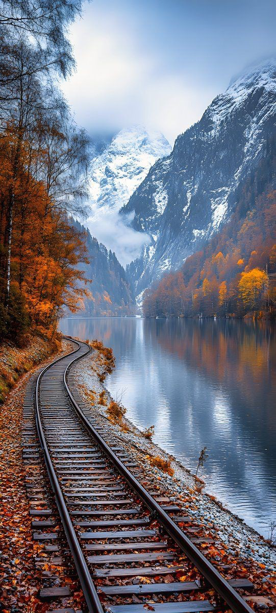 Finding Peace in Nature's Winter Wonderland