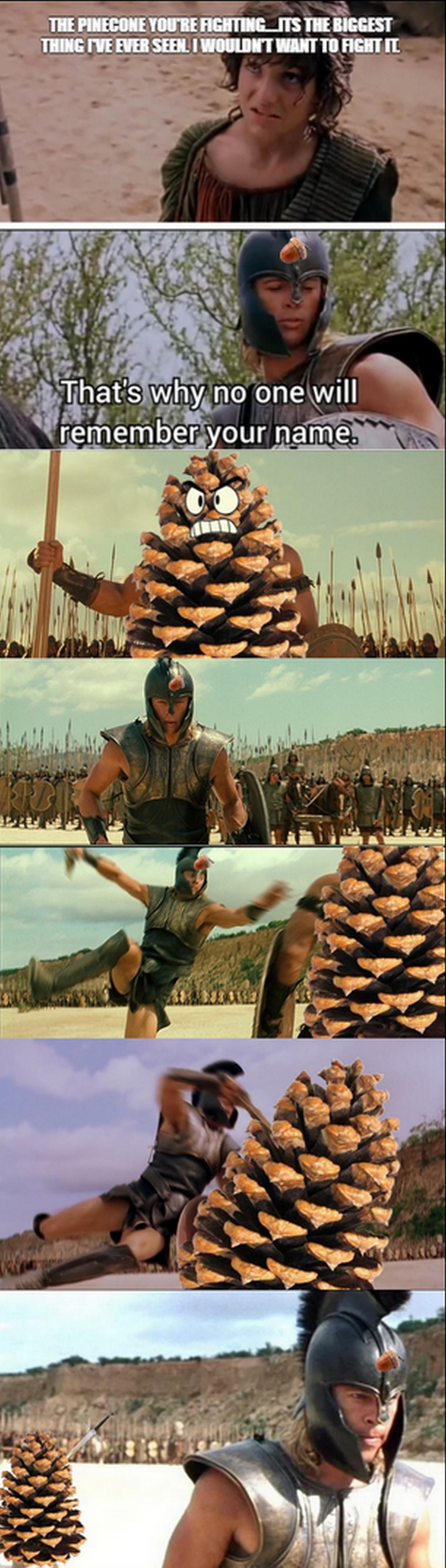 All aboard Team Acorn!