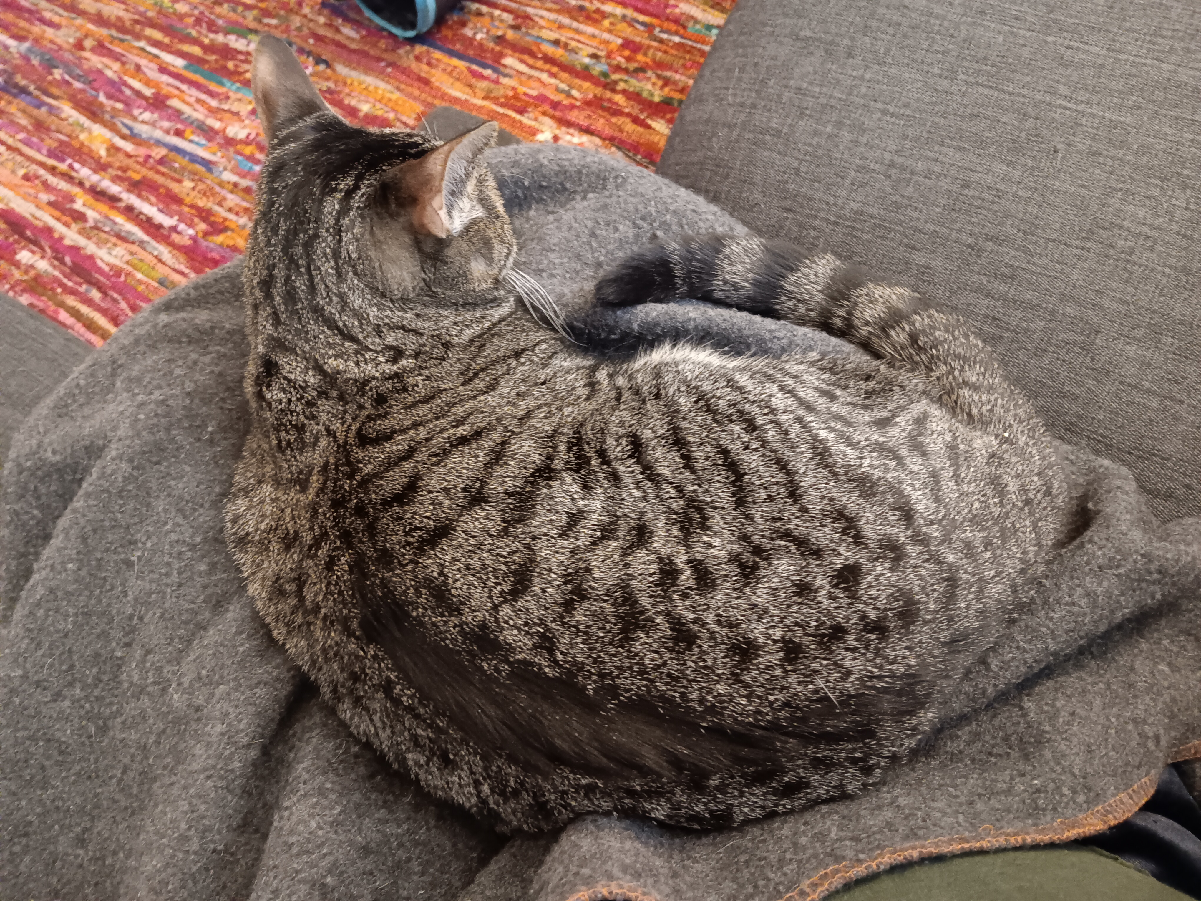 Wishing You a Sunday as Cozy as Ours with Marble