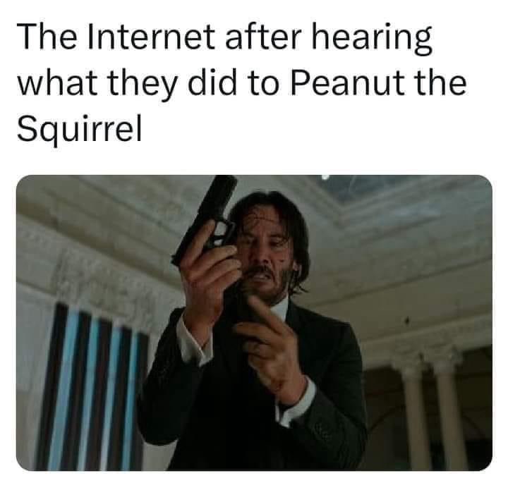 A curated collection of memes to brighten these challenging times.