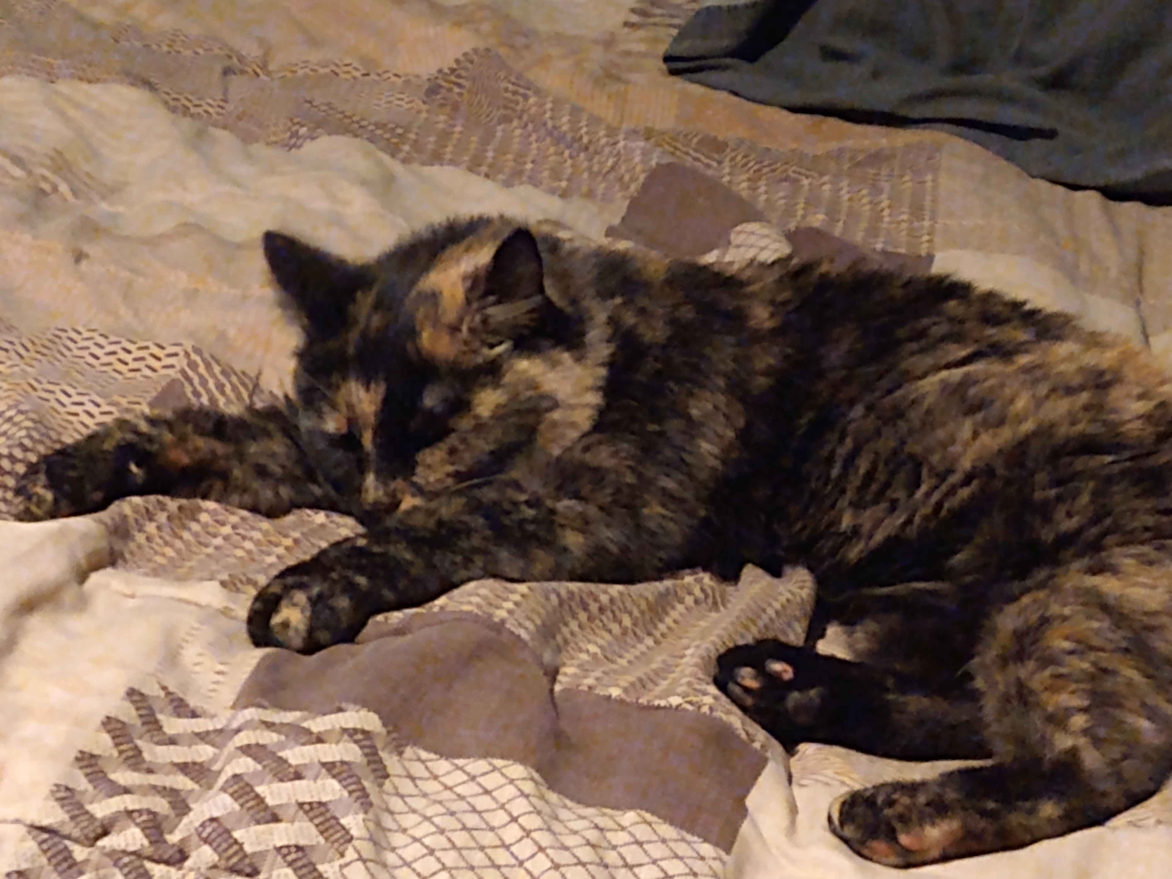 Ooooo, Look at Her Getting Cozy!