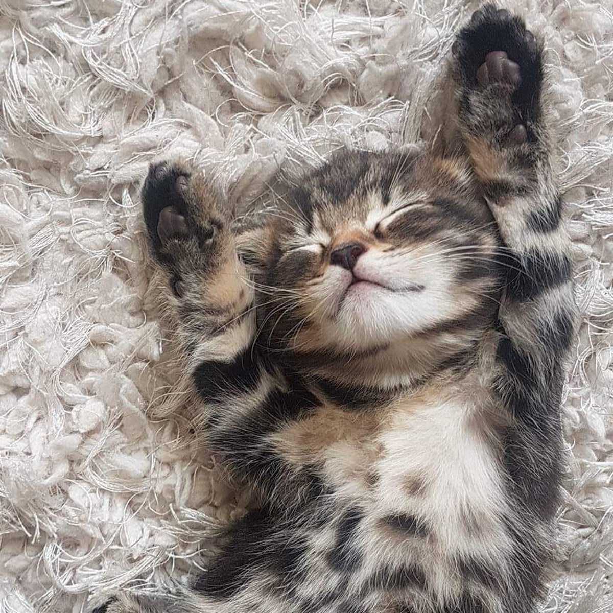 Feeling Extra Sleepy Today