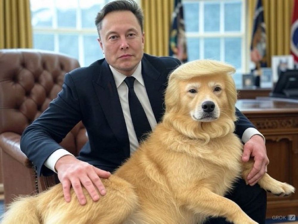 Being 'President' is a tough gig, especially for a pup!