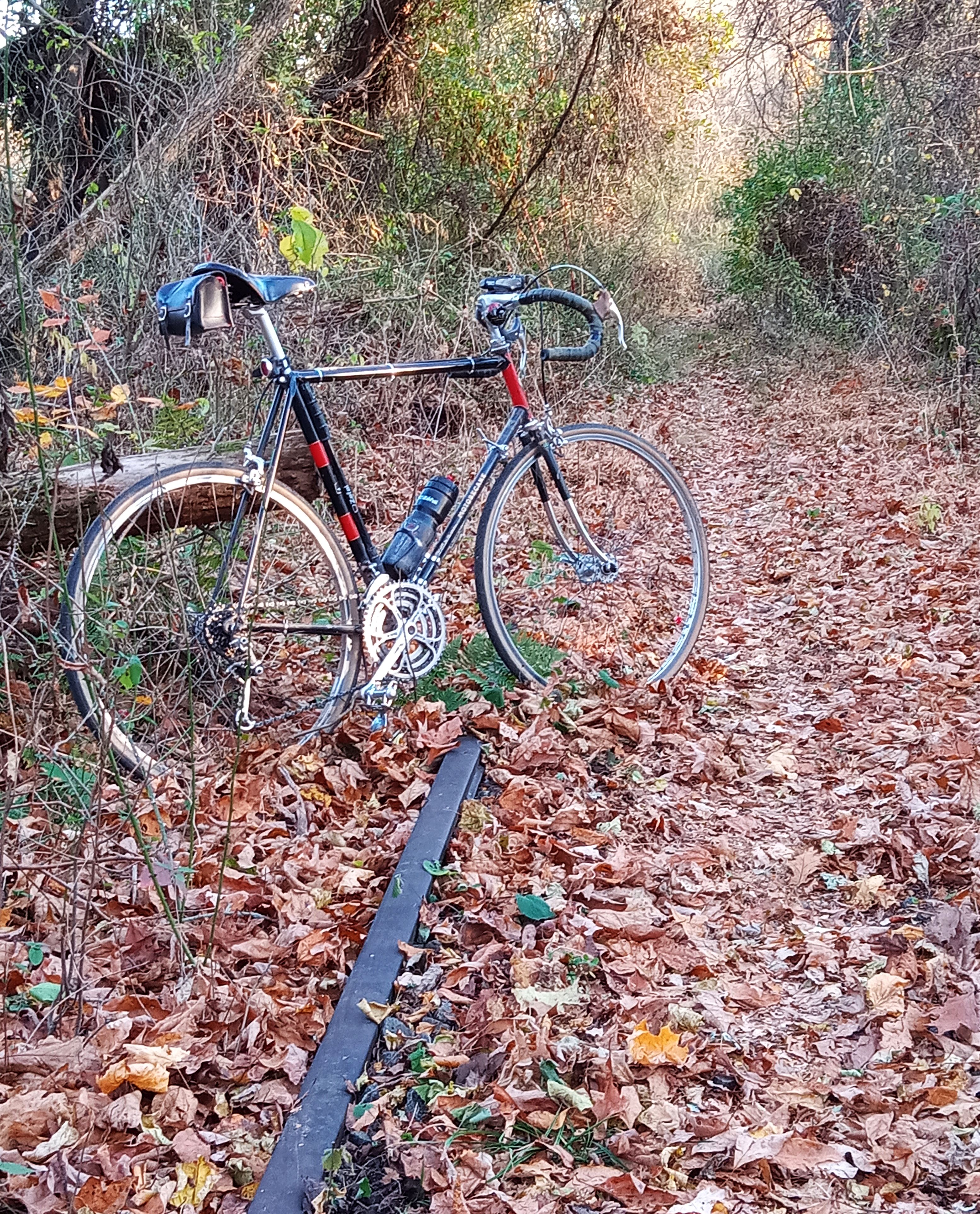 Exploring the Rail and Trail Adventure