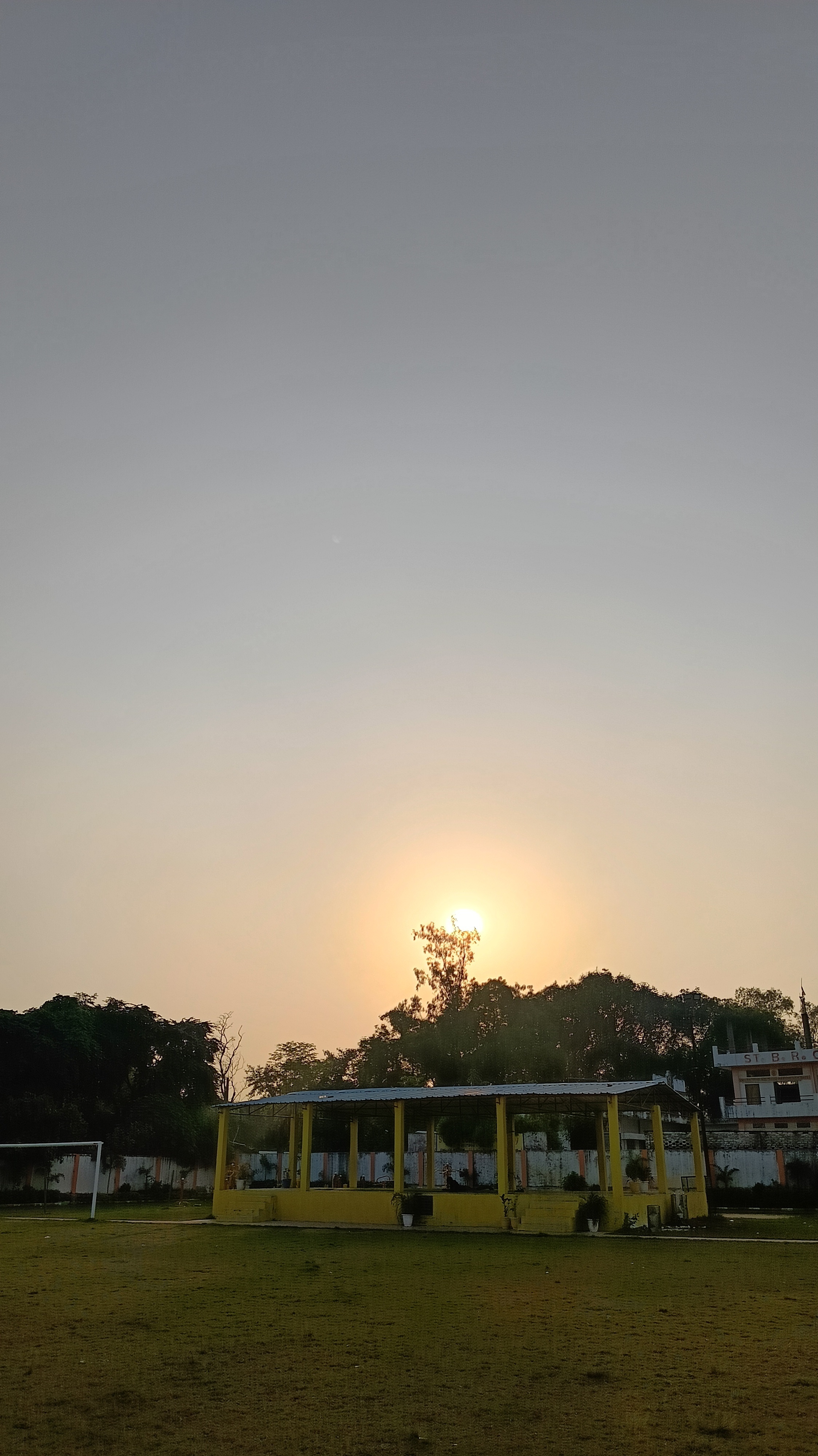 The Beauty of Nature Unveiled