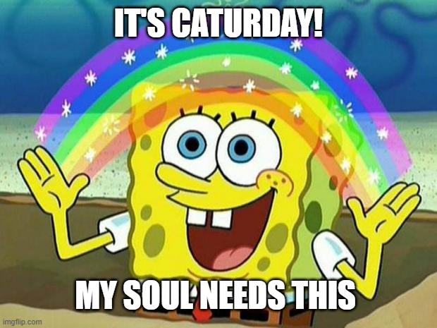 In Light of Scary Political News, Taking a Much-Needed Break for My Well-Being...