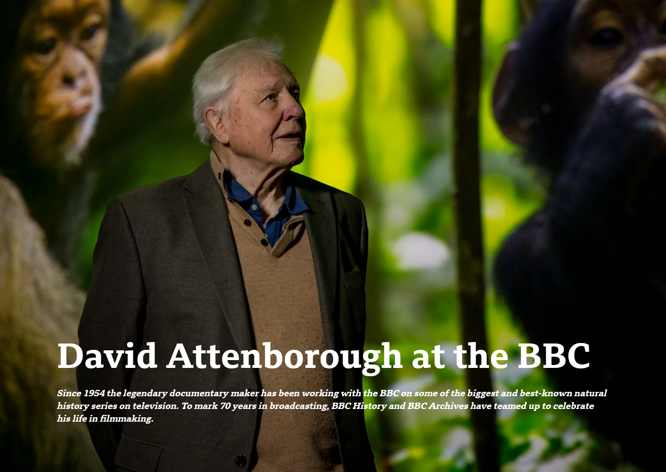 Reflecting on 70 Years of Attenborough: 'I Wish the World Was Twice as Big...'