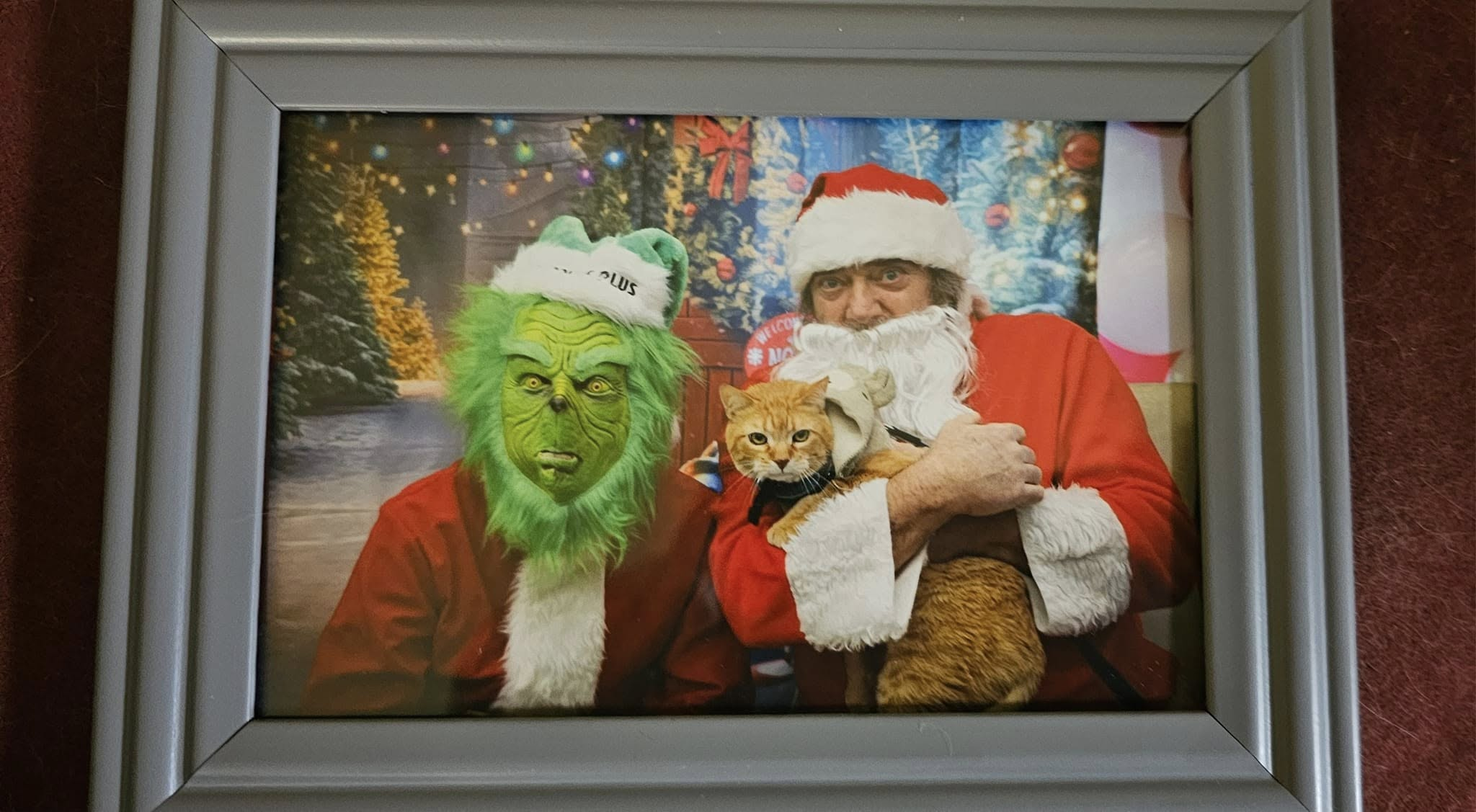 Capturing the Magic of Christmas 2024