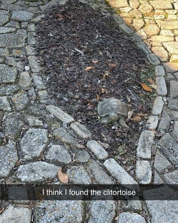 The Elusive Beauty of Nature