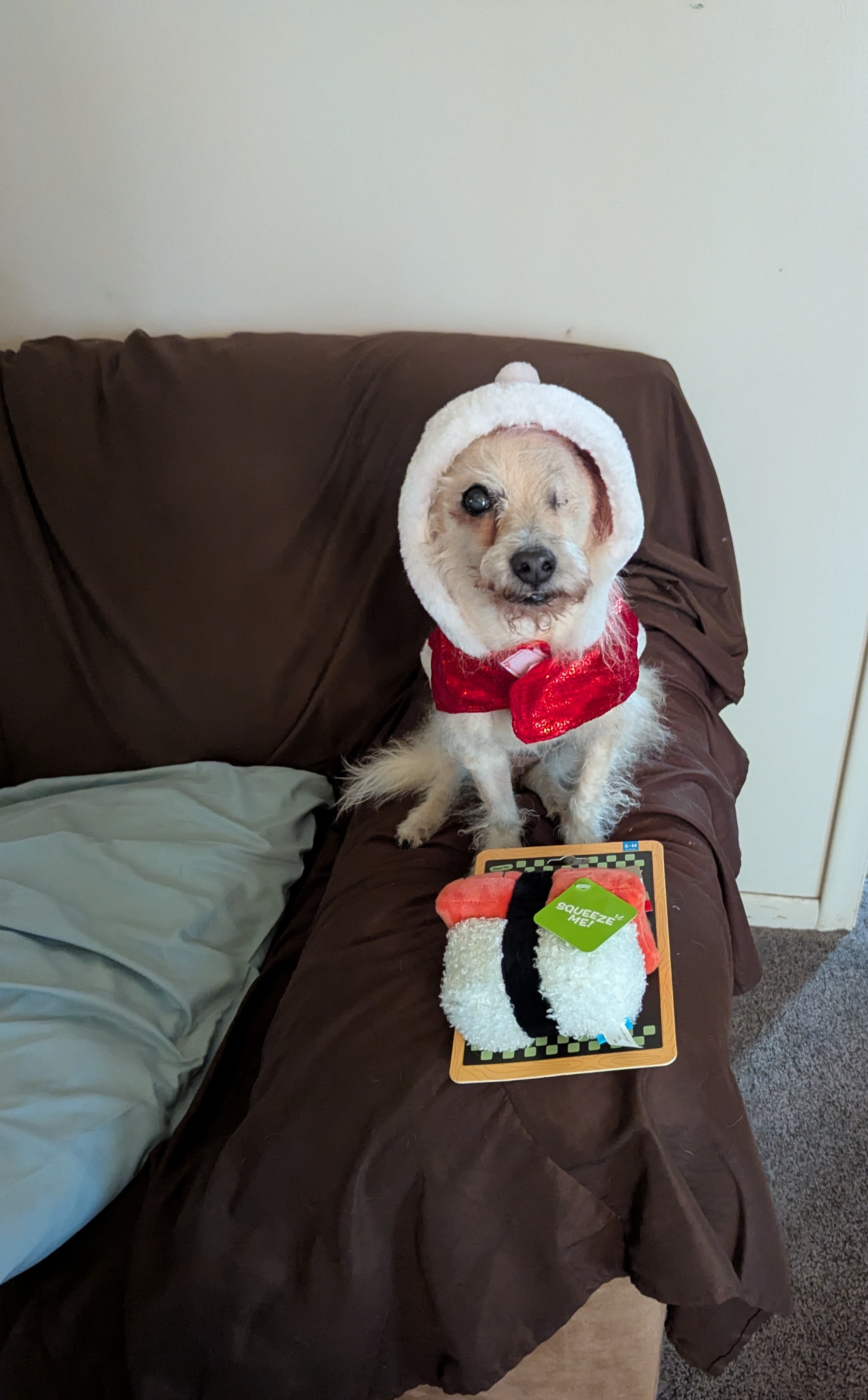 Warm Wishes for a Merry Holiday Season