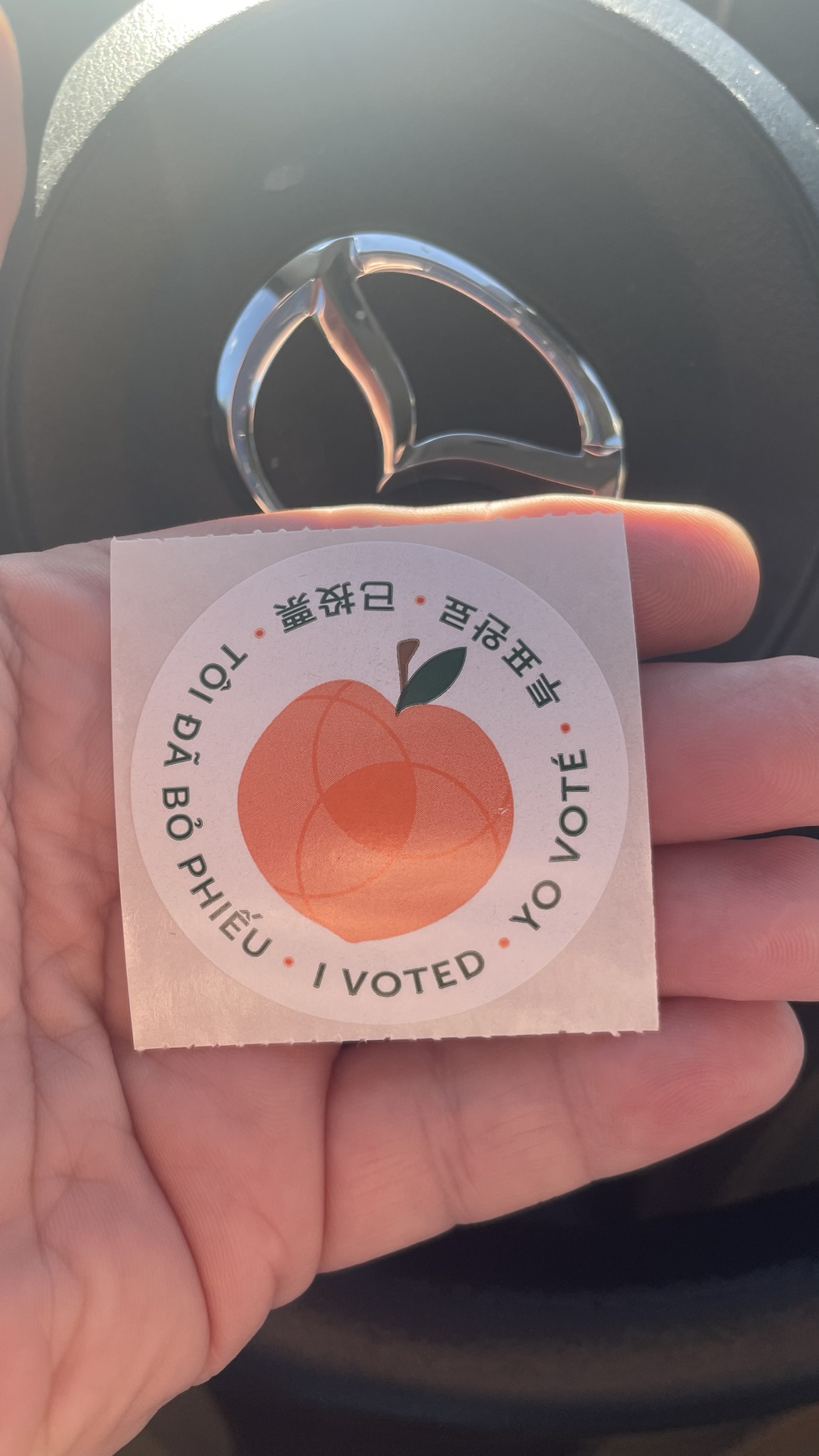 Get Out and Vote, Georgia!!!