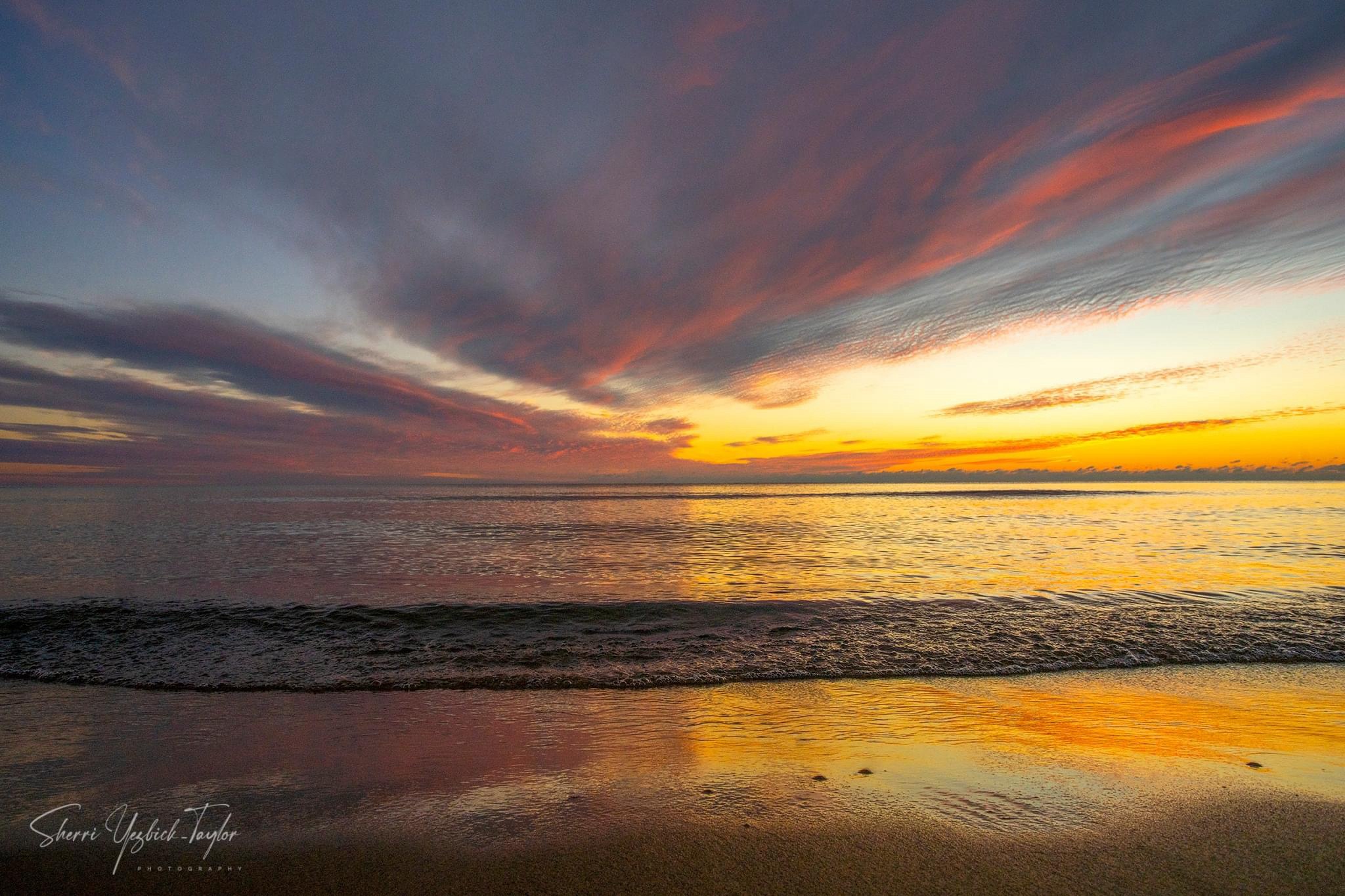 The Beauty of Nature: A Stunning Showcase