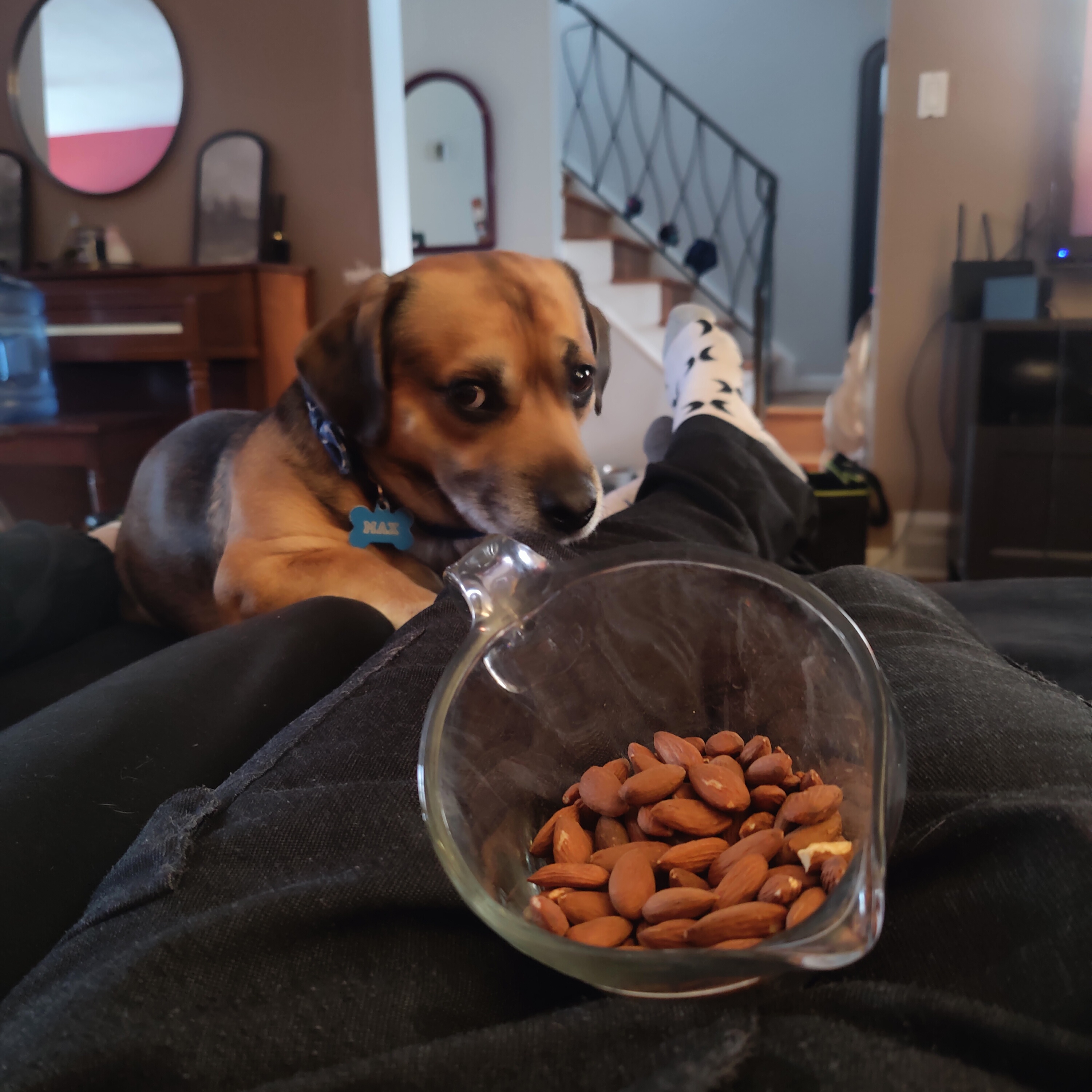 He’s Got His Eyes on My Almonds