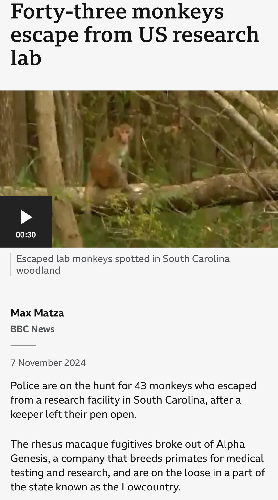 Is this how the Planet of the Apes saga begins?