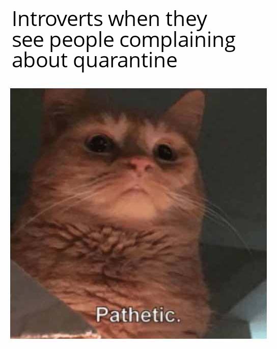 Absolutely Pathetic: A Dramatic Reaction!