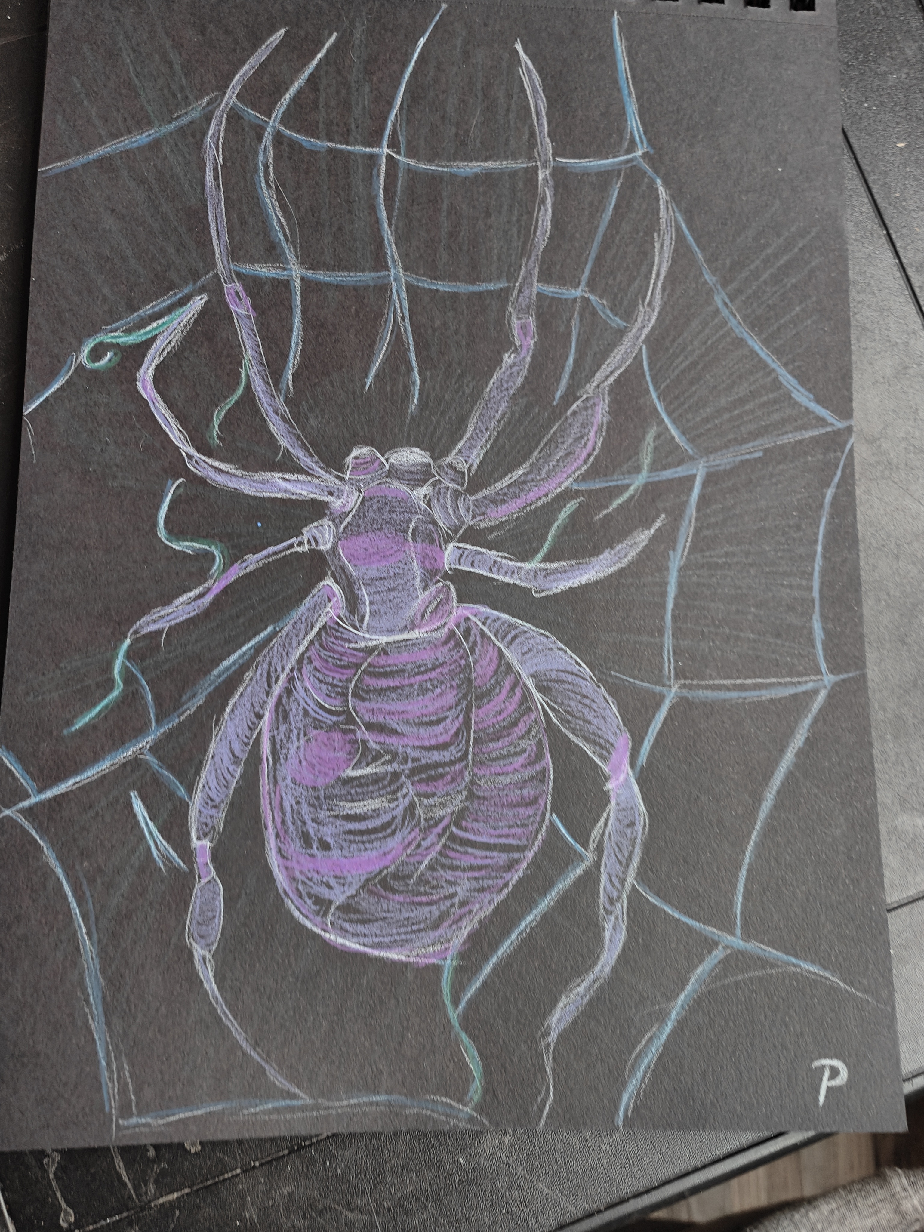 The Spider: A Web of Intrigue Awaits