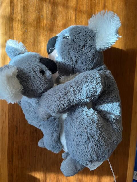 Cuddly Companions: Stuffy Koalas Embracing Each Other