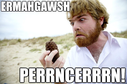 Where are all my fellow pinecone enthusiasts?