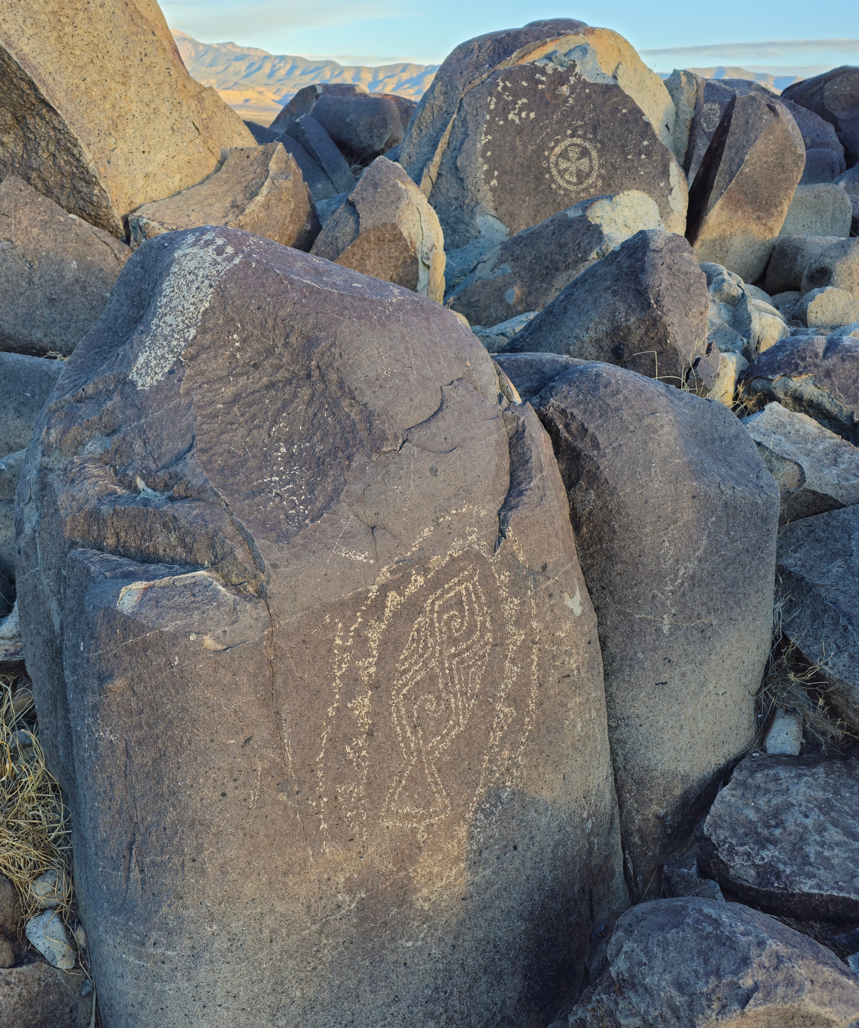 Exploring the Ancient Wonders of Three Rivers Petroglyph Site in New Mexico