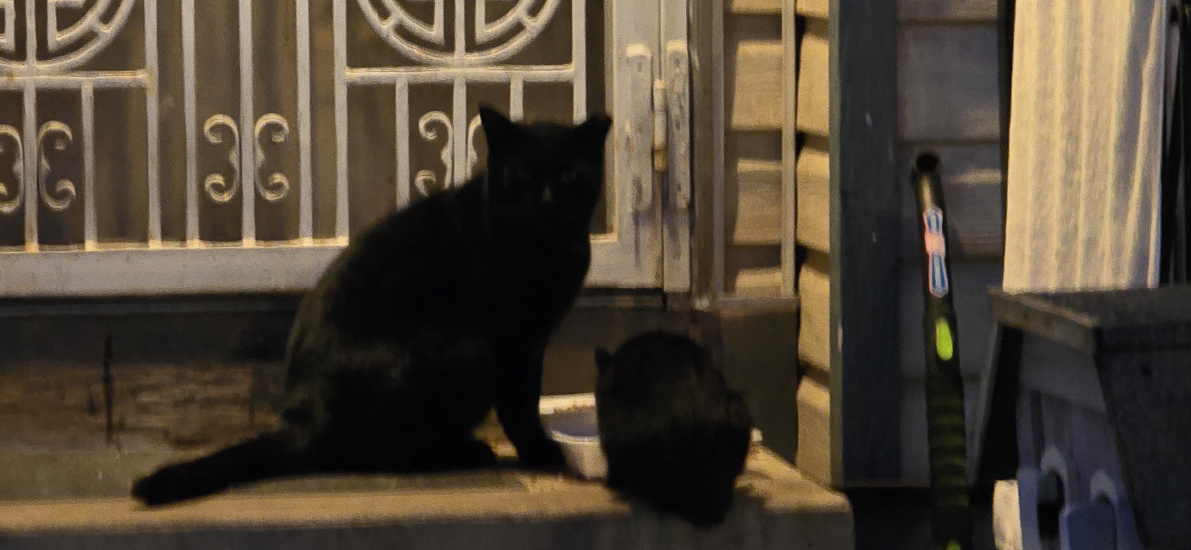 The Big Void vs. The Little Void