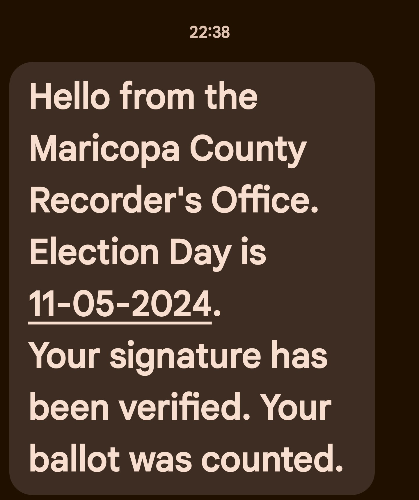 I Made My Voice Count in Arizona. VOTE!
