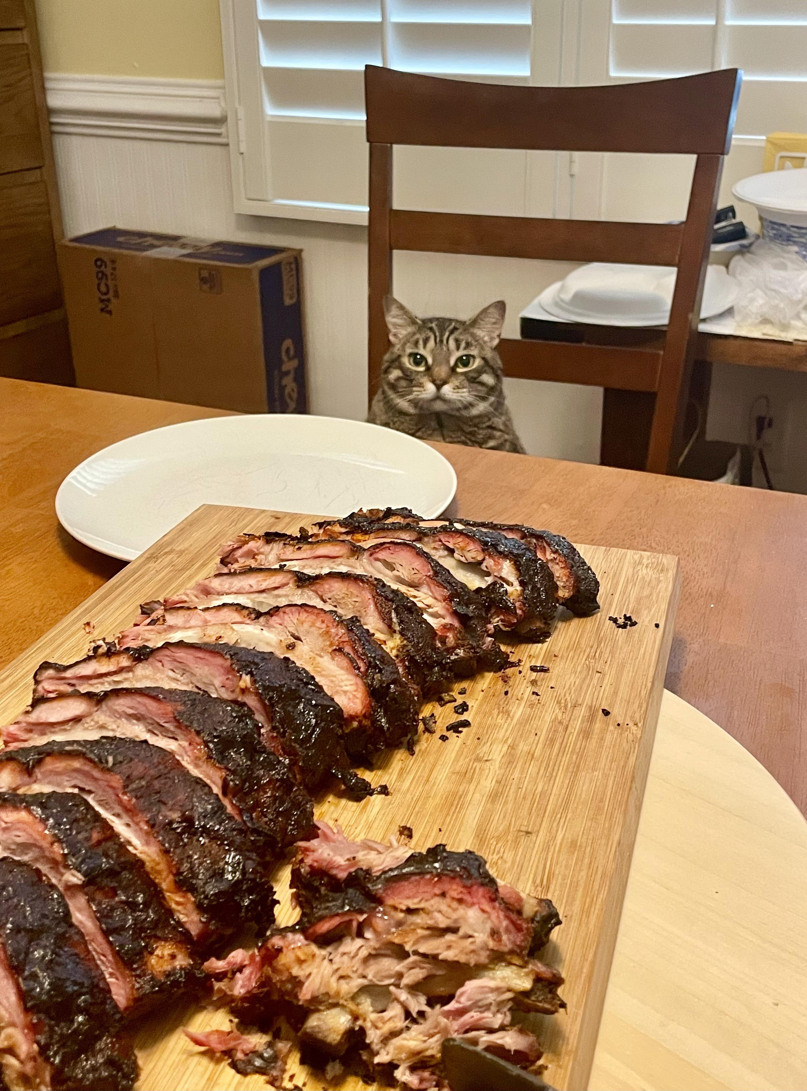 Deliciously Tender Pork Ribs